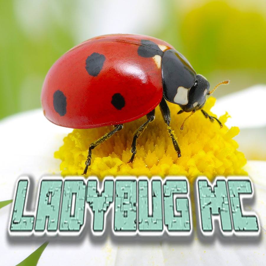 LadybugMC logo